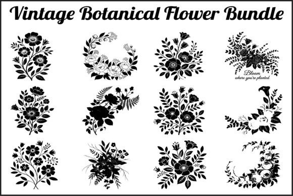 Botanical Flower SVG Collection: Integrating Vintage Florals into Professional Design Workflows