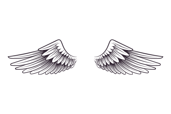 Evaluating Couple of Wings: Angel or Bird Hand Drawn Vector Illustrations