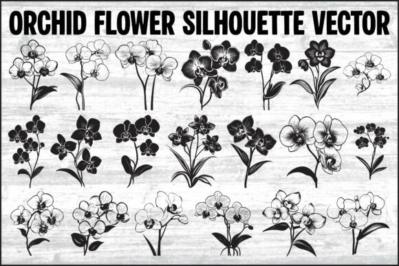 Orchid Flower Silhouette Vector Bundle