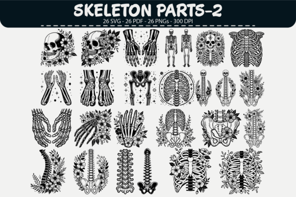 Skeleton Parts Vector Clipart: 26 Designs