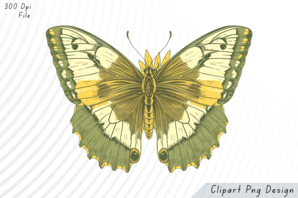Vintage Yellow Green Butterfly PNG Clipart Guide